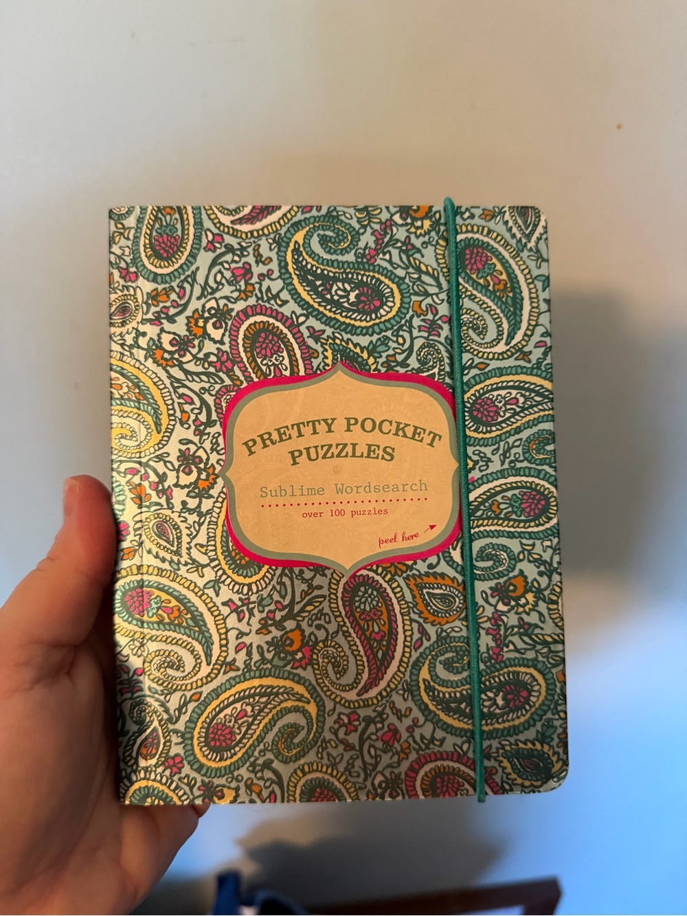 Sublime Wordsearch Notebook - Teal Paisley